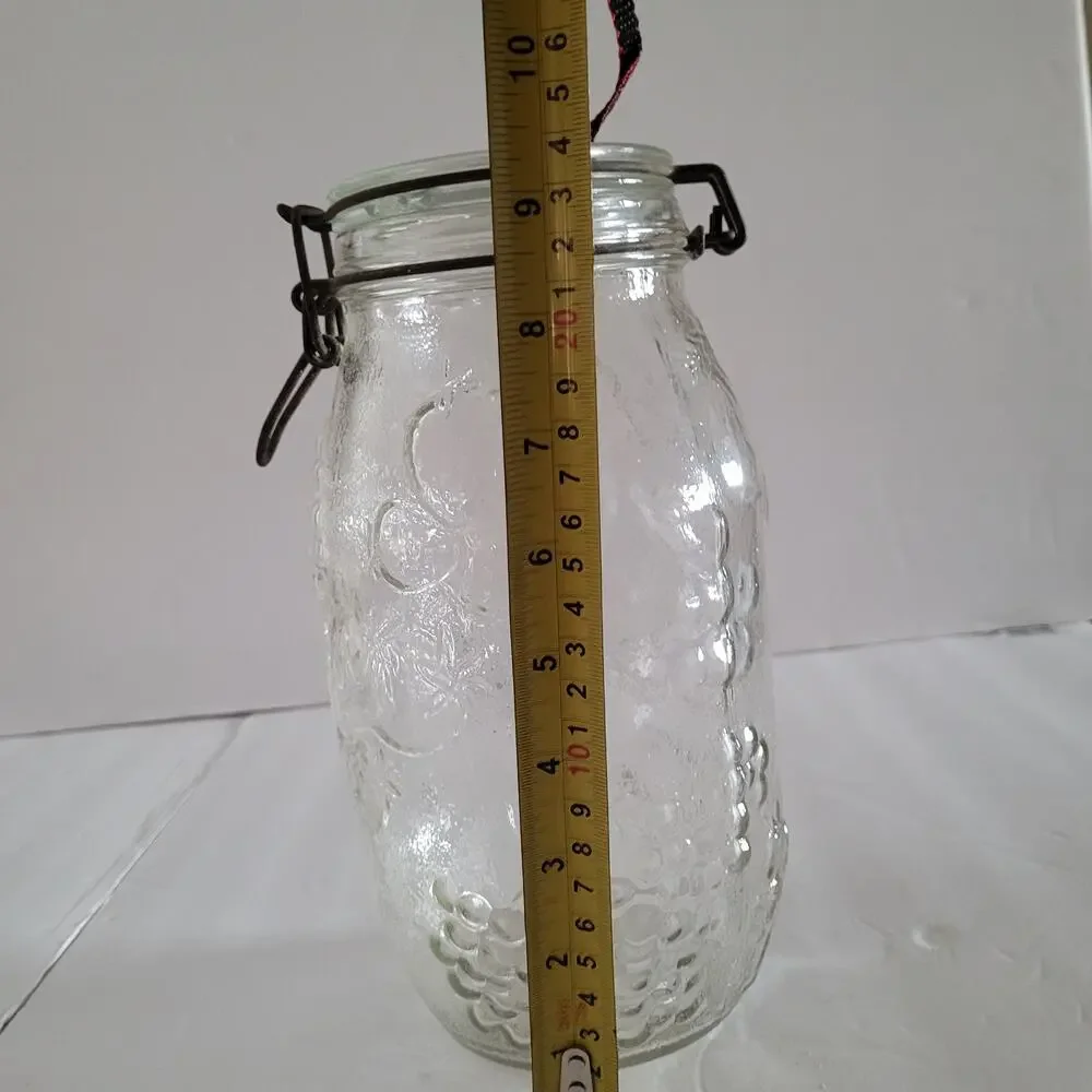 Vintage Fruit Texture Glass Jar - 9x4 inches